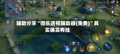 辅助分享“微乐透视辅助器(免费)”其实确实有挂