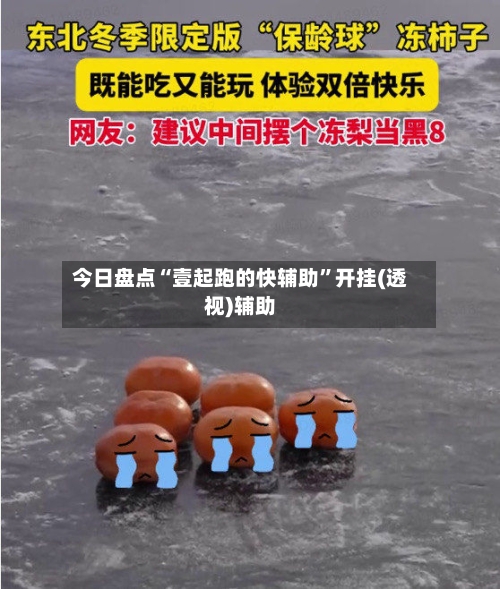 今日盘点“壹起跑的快辅助”开挂(透视)辅助