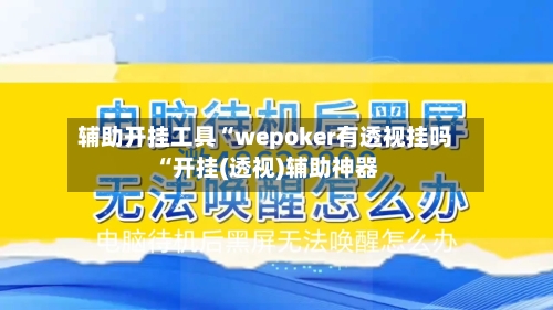 辅助开挂工具“wepoker有透视挂吗“开挂(透视)辅助神器