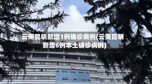 云南昆明新增1例确诊病例(云南昆明新增6例本土确诊病例)