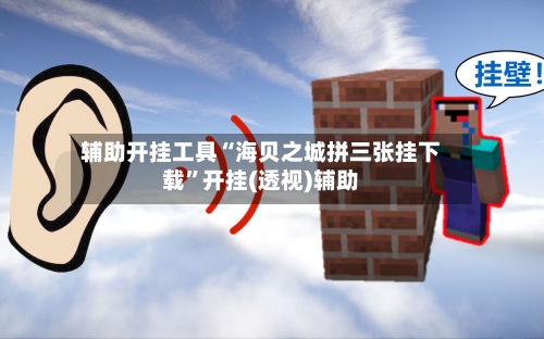 辅助开挂工具“海贝之城拼三张挂下载”开挂(透视)辅助