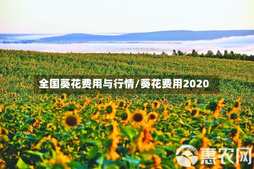 全国葵花费用与行情/葵花费用2020