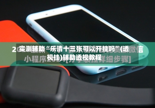 实测辅助“乐清十三张可以开挂吗”(透视挂)辅助透视教程