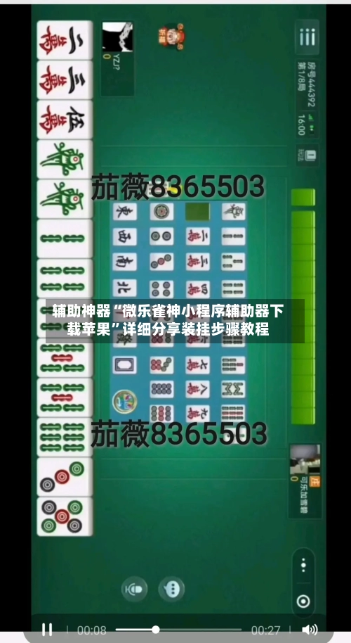 辅助神器“微乐雀神小程序辅助器下载苹果”详细分享装挂步骤教程