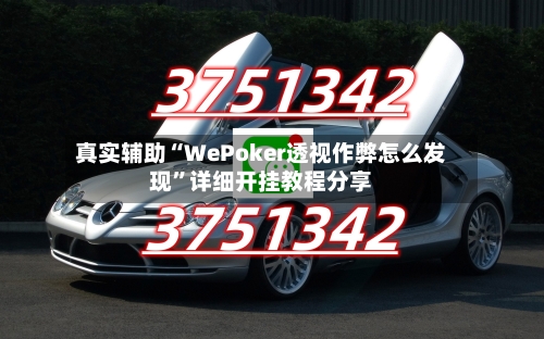 真实辅助“WePoker透视作弊怎么发现”详细开挂教程分享