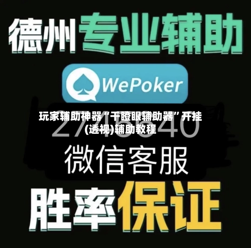 玩家辅助神器“干瞪眼辅助器”开挂(透视)辅助教程