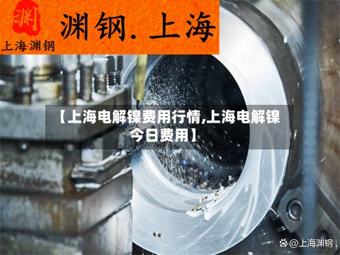 【上海电解镍费用行情,上海电解镍今日费用】