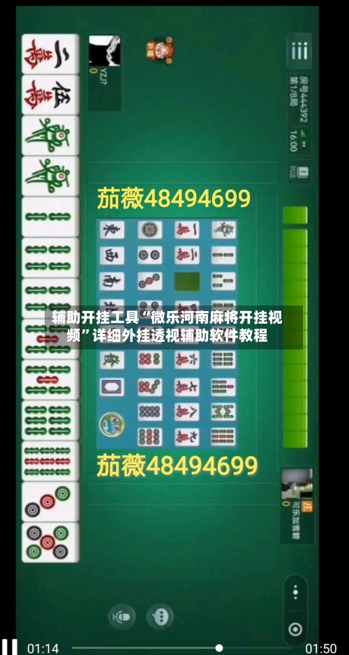 辅助开挂工具“微乐河南麻将开挂视频”详细外挂透视辅助软件教程