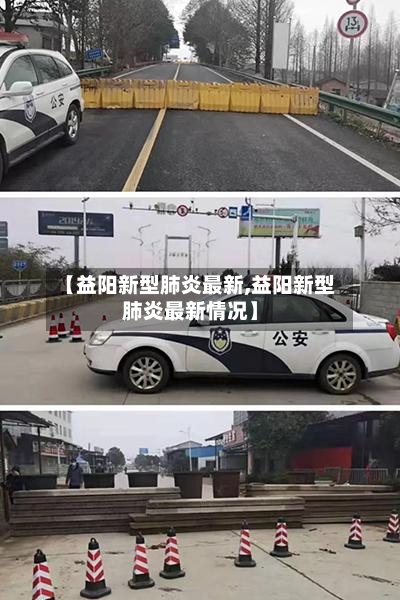 【益阳新型肺炎最新,益阳新型肺炎最新情况】