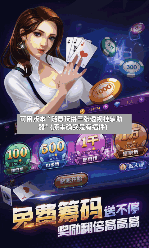 可用版本“随意玩拼三张透视挂辅助器”(原来确实是有插件)