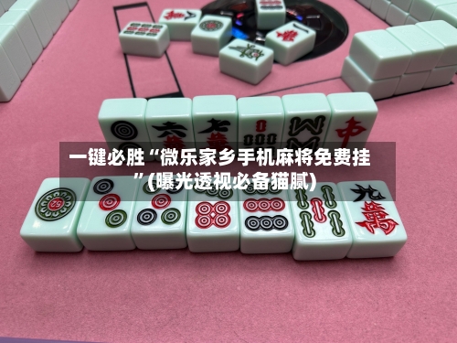 一键必胜“微乐家乡手机麻将免费挂”(曝光透视必备猫腻)