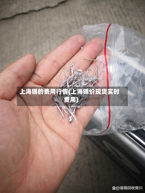 上海锡的费用行情(上海锡价现货实时费用)