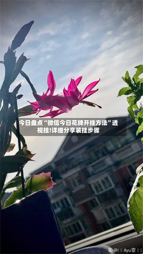 今日盘点“微信今日花牌开挂方法”透视挂!详细分享装挂步骤