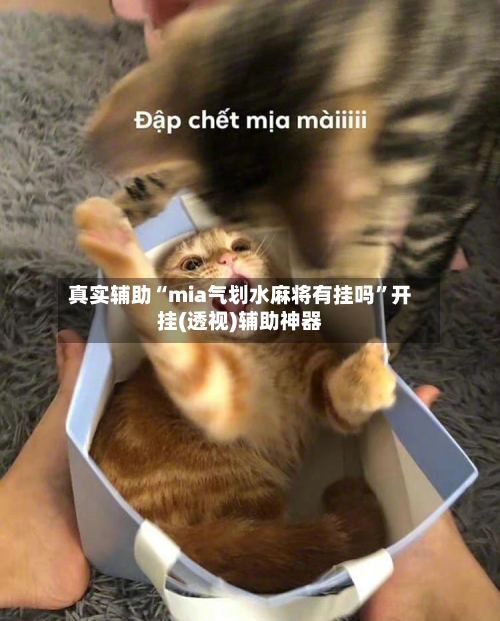 真实辅助“mia气划水麻将有挂吗”开挂(透视)辅助神器