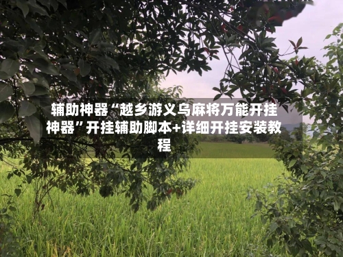 辅助神器“越乡游义乌麻将万能开挂神器”开挂辅助脚本+详细开挂安装教程