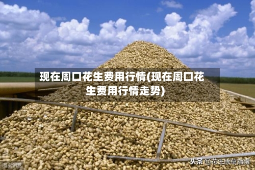 现在周口花生费用行情(现在周口花生费用行情走势)