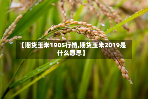 【期货玉米1905行情,期货玉米2019是什么意思】