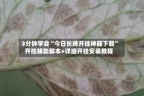 3分钟学会“今日长牌开挂神器下载”开挂辅助脚本+详细开挂安装教程
