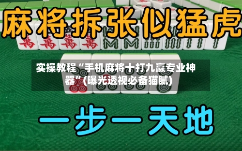 实操教程“手机麻将十打九赢专业神器”(曝光透视必备猫腻)