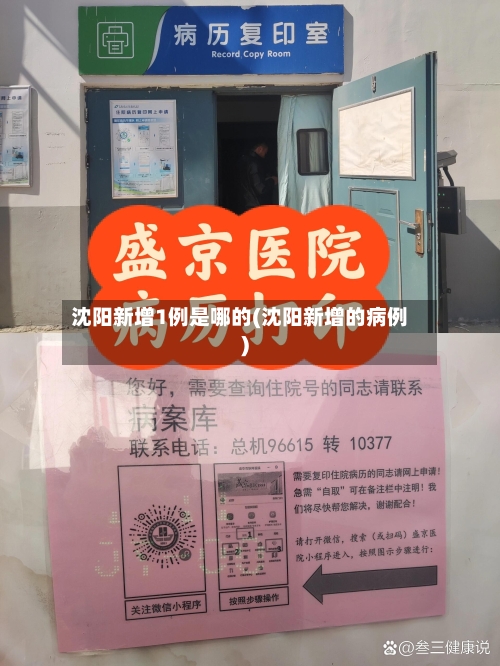 沈阳新增1例是哪的(沈阳新增的病例)