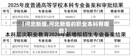 【河北新增,河北新增的职业本科有哪些】