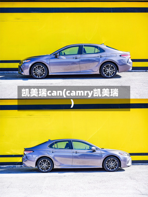 凯美瑞can(camry凯美瑞)