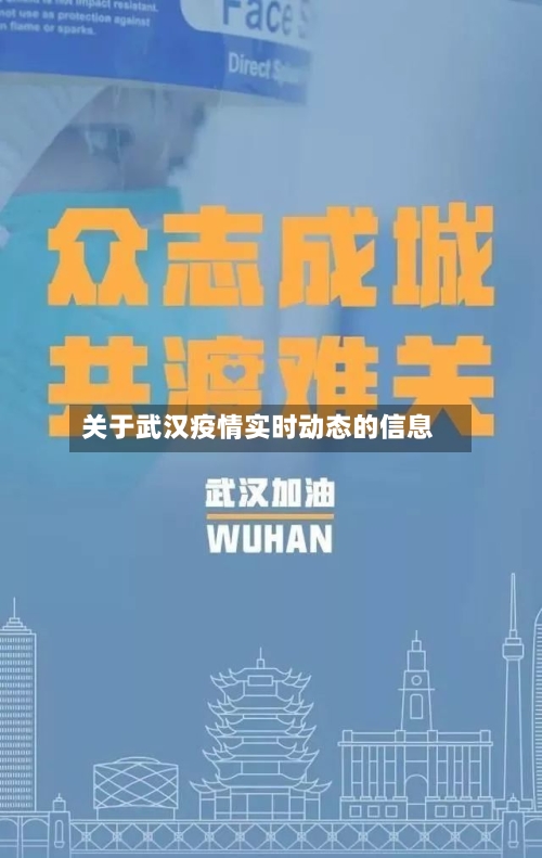 关于武汉疫情实时动态的信息