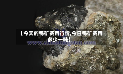 【今天的钨矿费用行情,今日钨矿费用多少一吨】