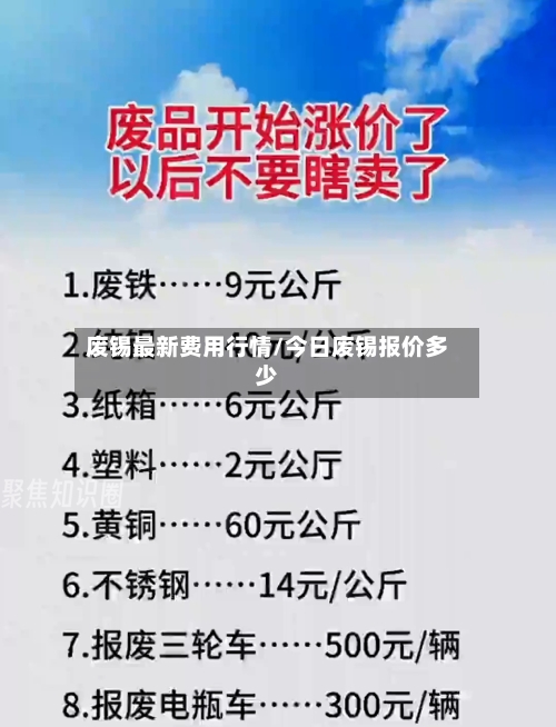 废锡最新费用行情/今日废锡报价多少