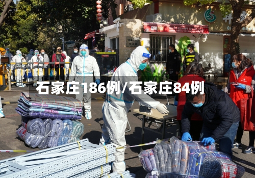 石家庄186例/石家庄84例