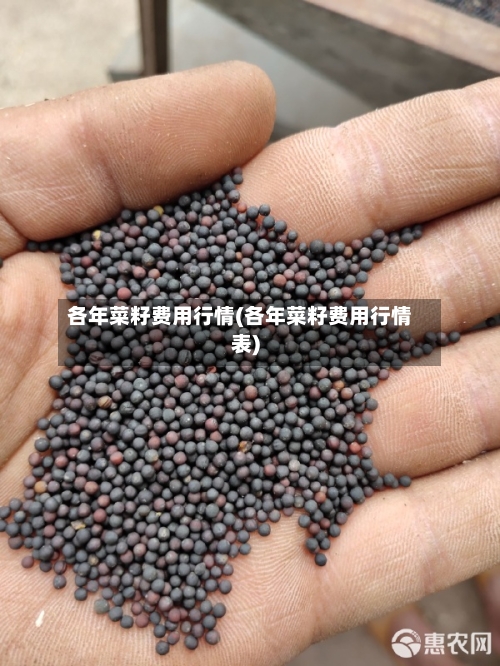 各年菜籽费用行情(各年菜籽费用行情表)