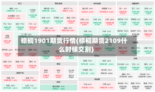 棕榈1901期货行情(棕榈期货2109什么时候交割)