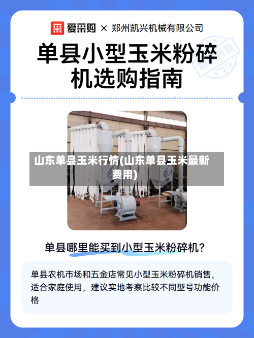 山东单县玉米行情(山东单县玉米最新费用)