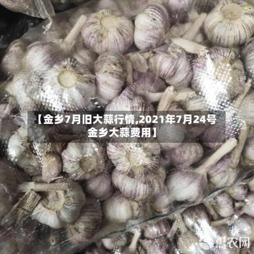 【金乡7月旧大蒜行情,2021年7月24号金乡大蒜费用】