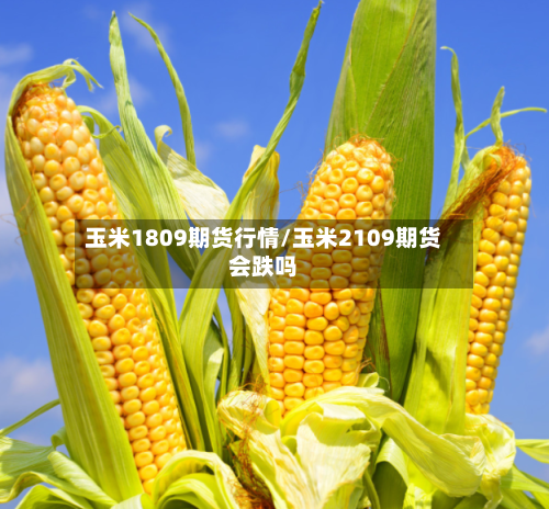 玉米1809期货行情/玉米2109期货会跌吗