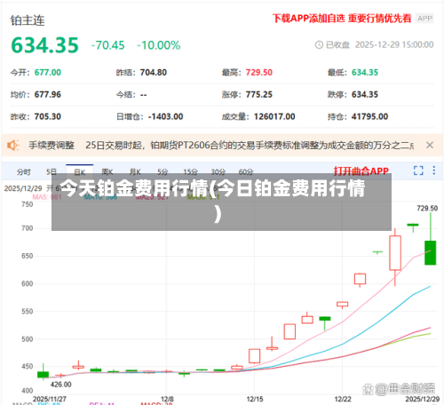 今天铂金费用行情(今日铂金费用行情)