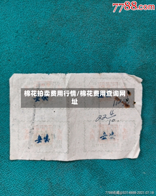 棉花拍卖费用行情/棉花费用查询网址