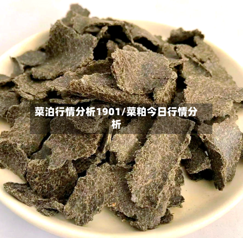 菜泊行情分析1901/菜粕今日行情分析