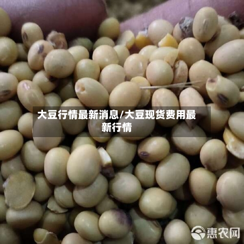 大豆行情最新消息/大豆现货费用最新行情