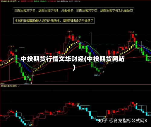 中投期货行情文华财经(中投期货网站)