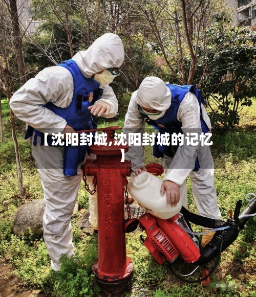 【沈阳封城,沈阳封城的记忆】
