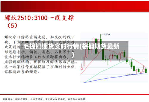 毛棕榈期货实时行情(棕榈期货最新)
