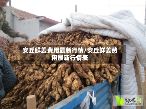 安丘鲜姜费用最新行情/安丘鲜姜费用最新行情表