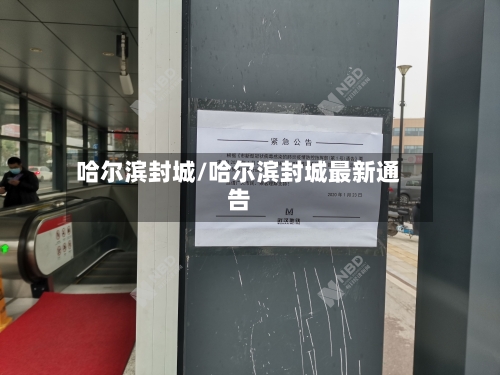 哈尔滨封城/哈尔滨封城最新通告
