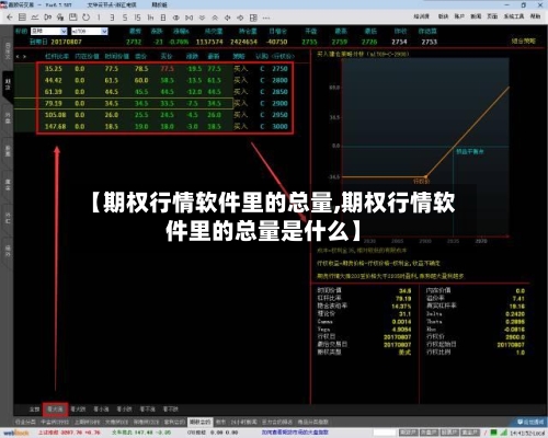 【期权行情软件里的总量,期权行情软件里的总量是什么】