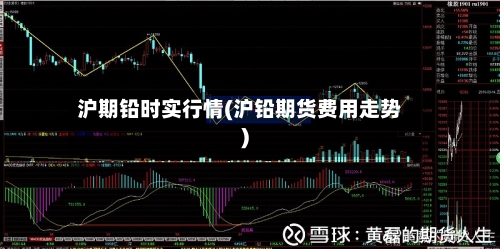 沪期铅时实行情(沪铅期货费用走势)
