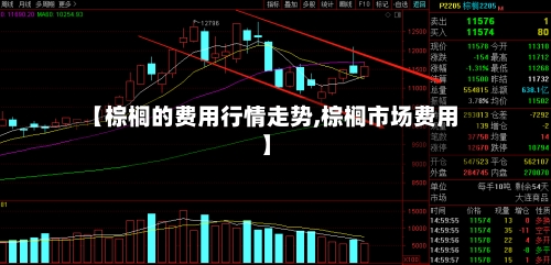 【棕榈的费用行情走势,棕榈市场费用】