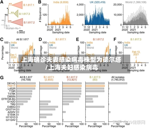上海确诊夫妻感染病毒株型为德尔塔/上海夫妇感染病毒