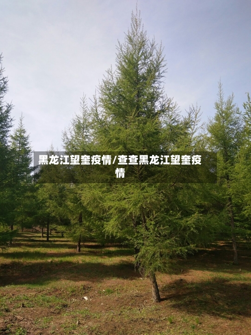 黑龙江望奎疫情/查查黑龙江望奎疫情