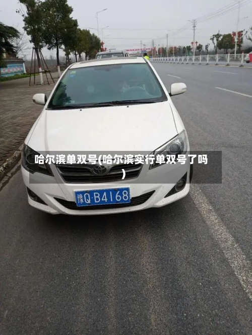 哈尔滨单双号(哈尔滨实行单双号了吗)